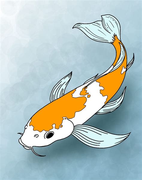 koi fish drawing|pictures of koi fish drawings.